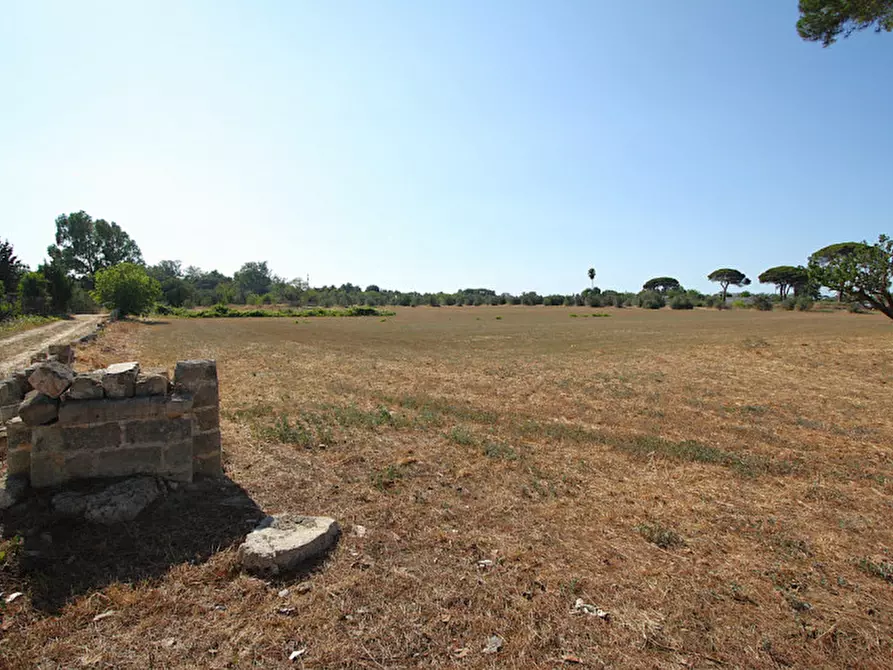 Immagine 5 di Villa in vendita  in Via Parabita a Alezio