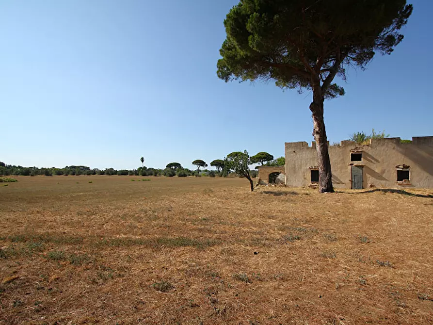 Immagine 5 di Villa in vendita  in Via Parabita a Alezio