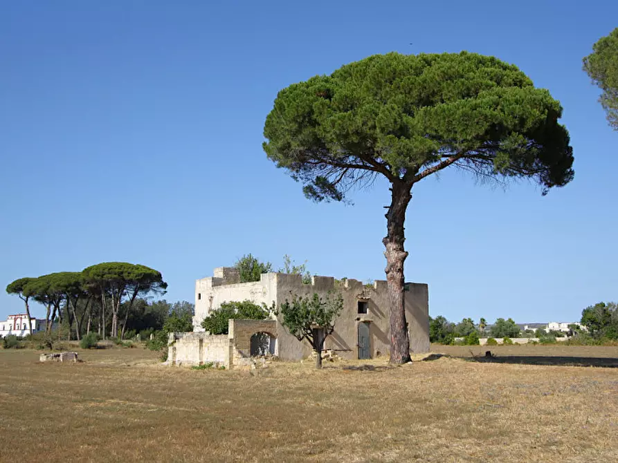 Immagine 6 di Villa in vendita  in Via Parabita a Alezio