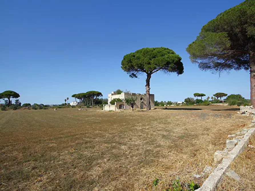 Immagine 8 di Villa in vendita  in Via Parabita a Alezio