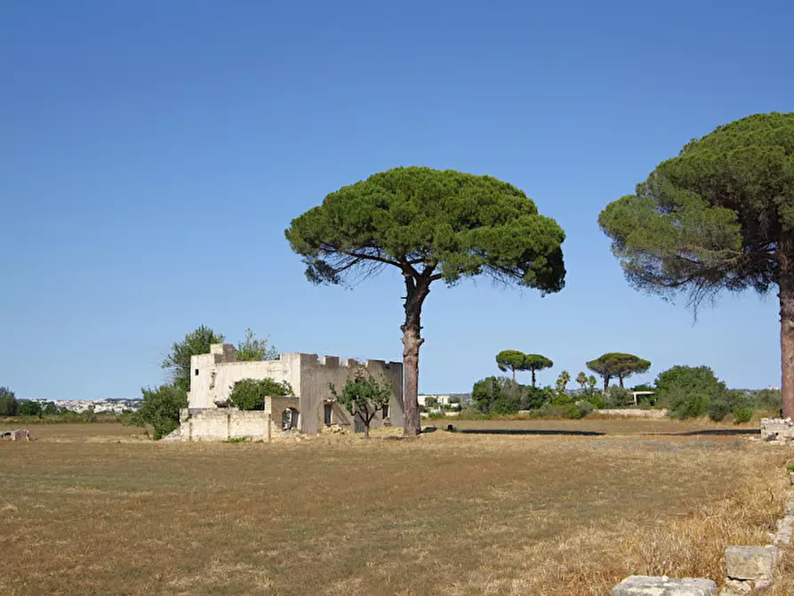 Immagine 8 di Villa in vendita  in Via Parabita a Alezio