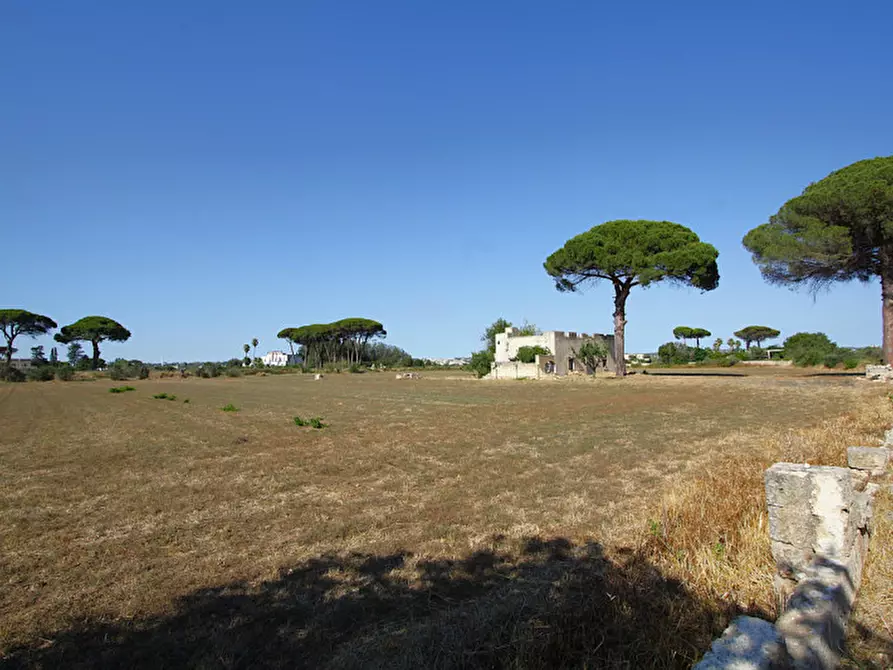 Immagine 10 di Villa in vendita  in Via Parabita a Alezio