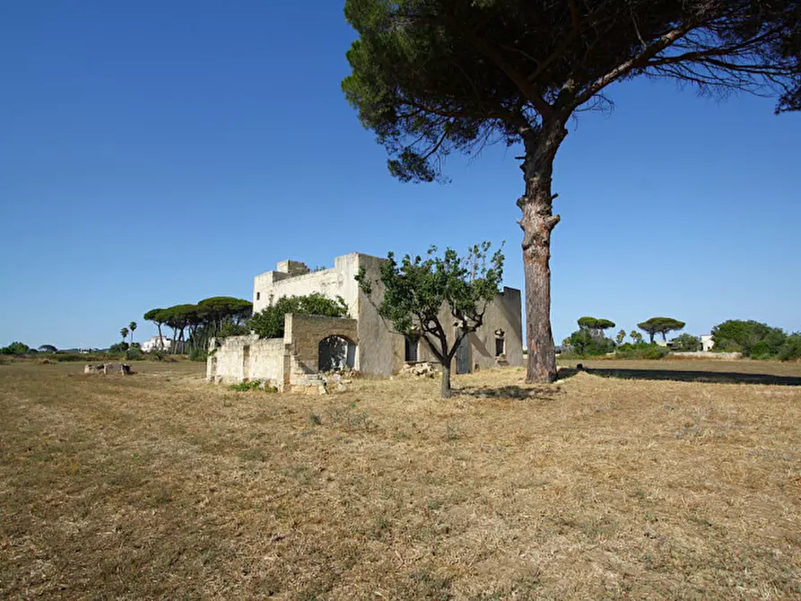 Immagine 11 di Villa in vendita  in Via Parabita a Alezio