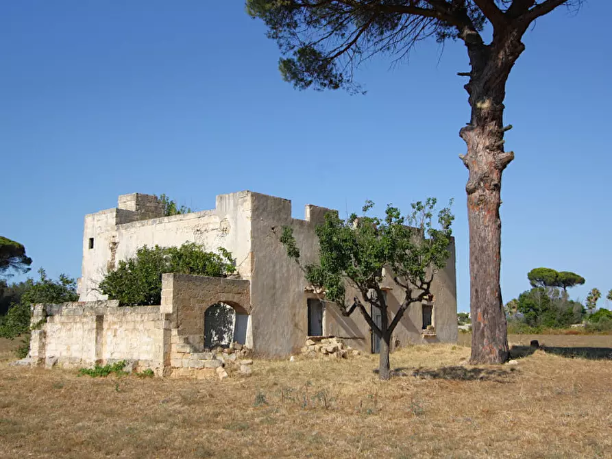 Immagine 16 di Villa in vendita  in Via Parabita a Alezio