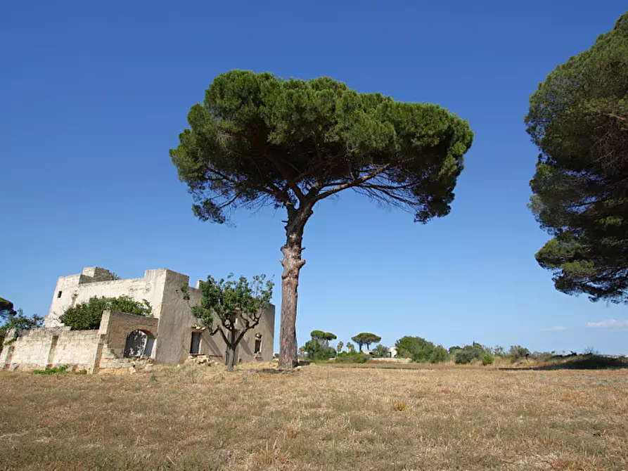 Immagine 17 di Villa in vendita  in Via Parabita a Alezio