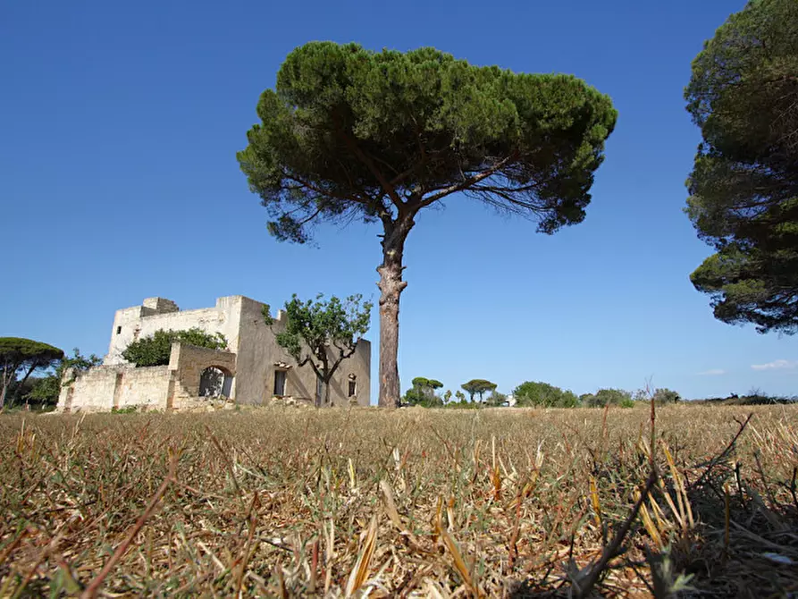 Immagine 18 di Villa in vendita  in Via Parabita a Alezio