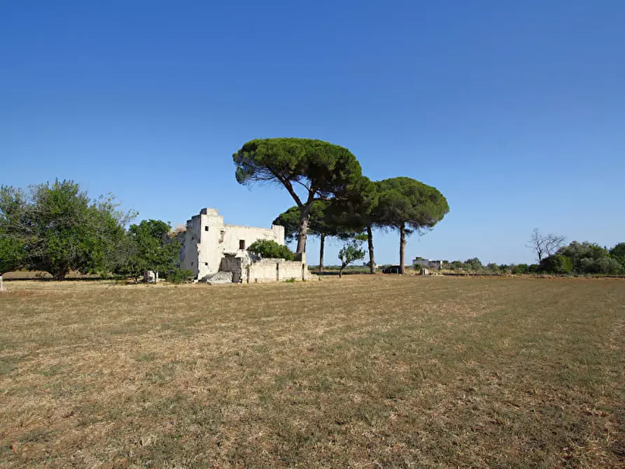 Immagine 19 di Villa in vendita  in Via Parabita a Alezio