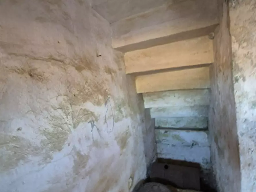 Immagine 25 di Villa in vendita  in Via Parabita a Alezio