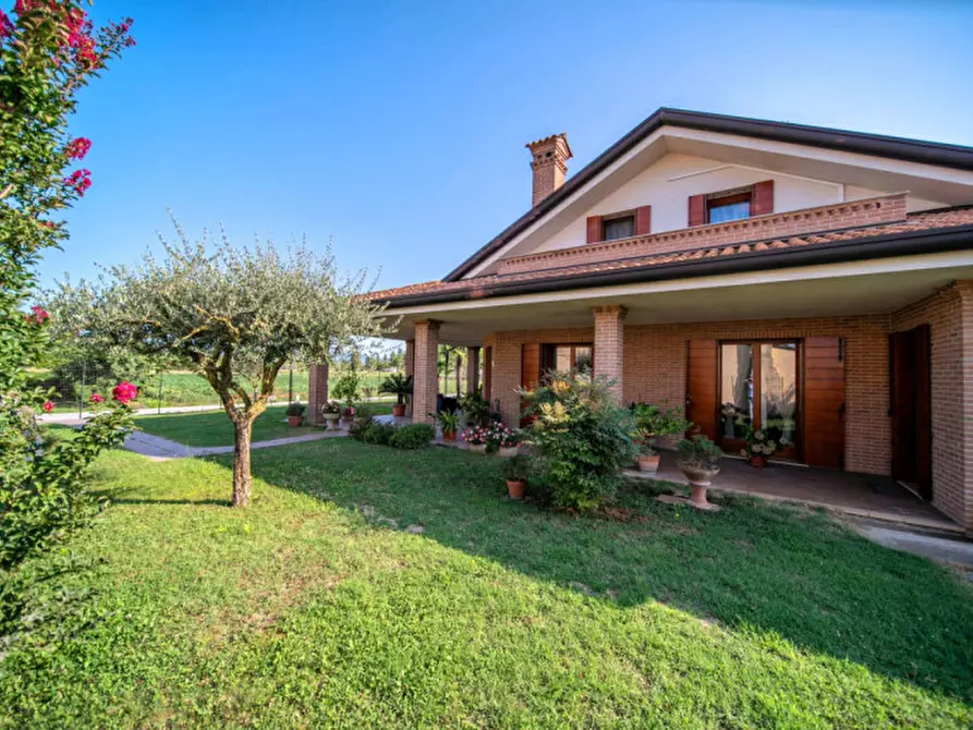 Immagine 18 di Casa indipendente in vendita  in Via Antonio Gramsci a Solesino