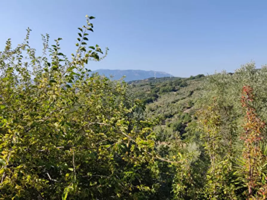 Immagine 19 di Villa in vendita  in Via Cesinelle a Serre