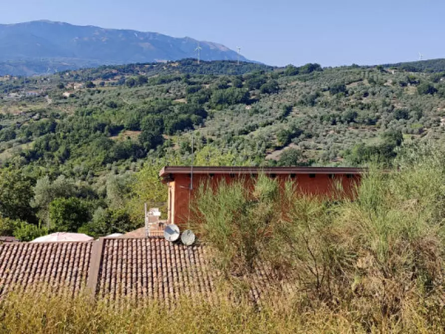 Immagine 38 di Villa in vendita  in Via Cesinelle a Serre