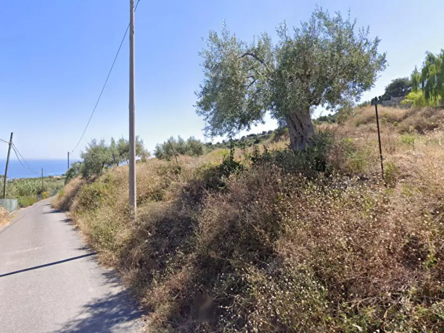 Immagine 2 di Terreno in vendita  in Contrada Impalastro – Incallisi a Termini Imerese