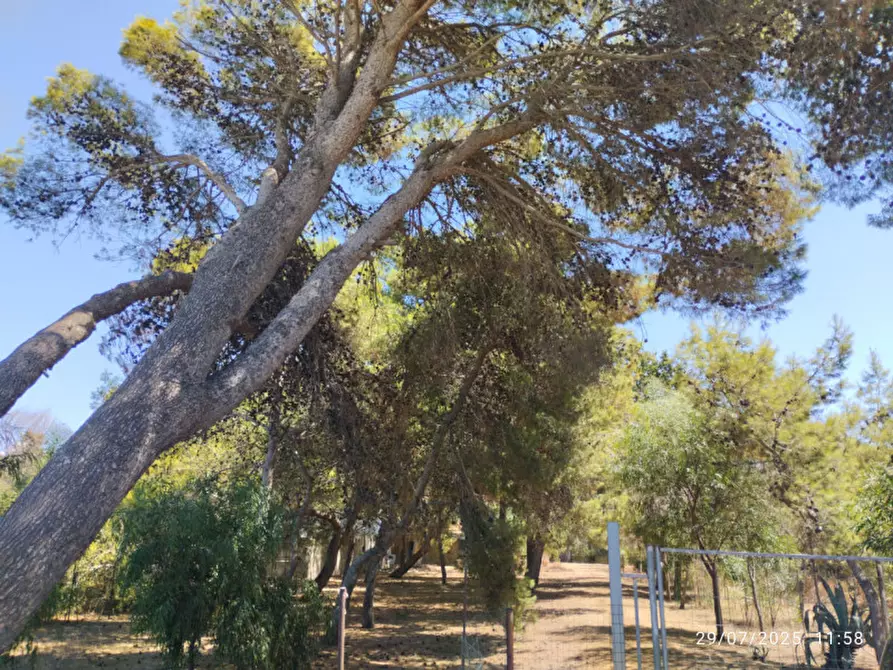 Immagine 6 di Villa in vendita  in Località Padula a Gallipoli