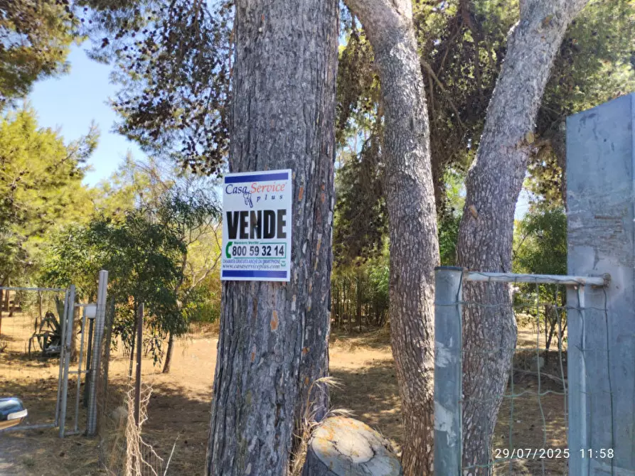 Immagine 7 di Villa in vendita  in Località Padula a Gallipoli