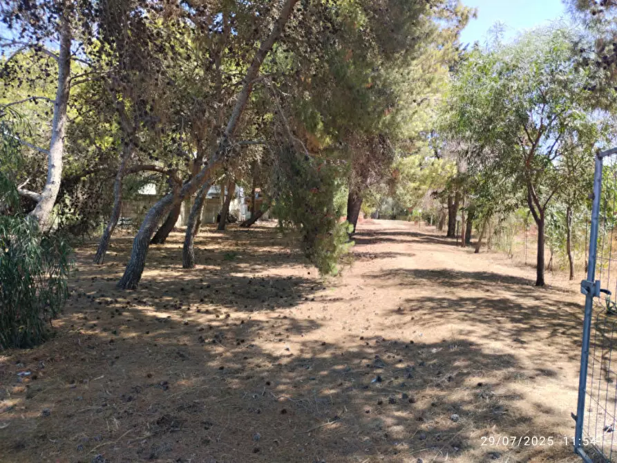 Immagine 8 di Villa in vendita  in Località Padula a Gallipoli