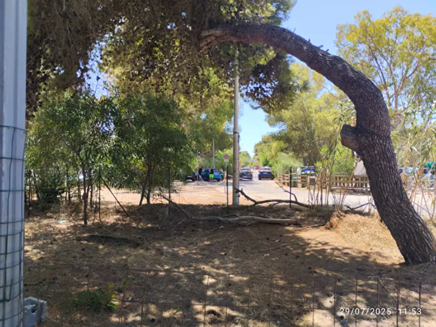 Immagine 9 di Villa in vendita  in Località Padula a Gallipoli