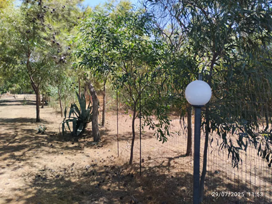 Immagine 10 di Villa in vendita  in Località Padula a Gallipoli