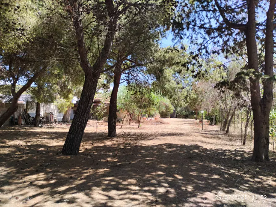 Immagine 11 di Villa in vendita  in Località Padula a Gallipoli