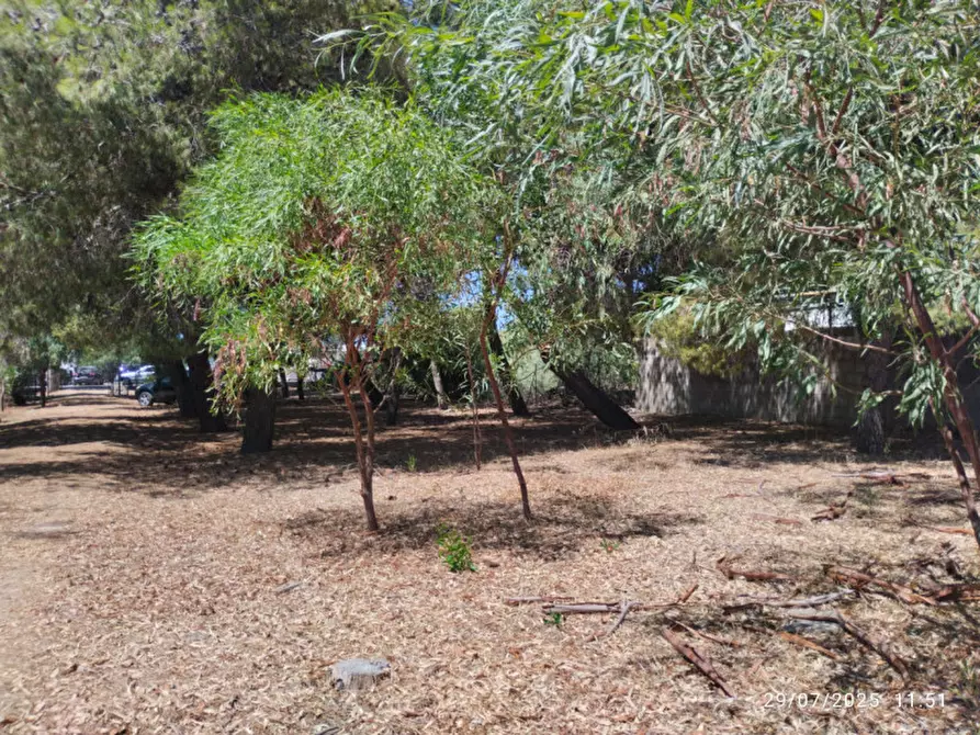 Immagine 12 di Villa in vendita  in Località Padula a Gallipoli