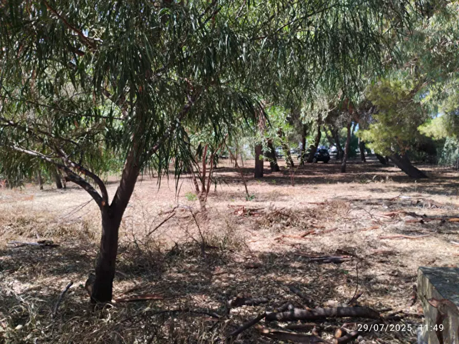 Immagine 17 di Villa in vendita  in Località Padula a Gallipoli