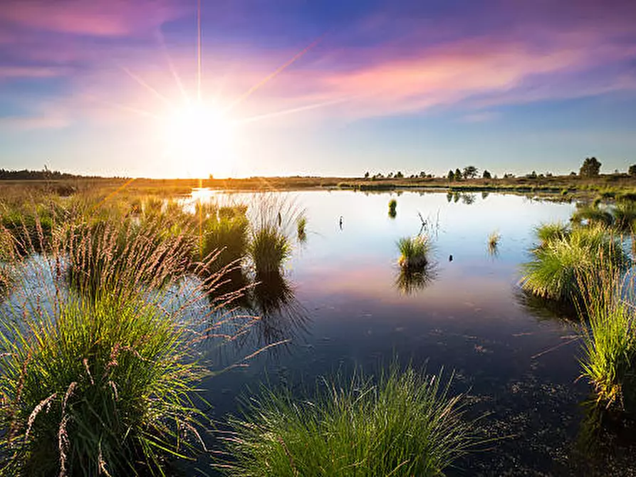 Immagine 7 di Casa indipendente in vendita  in VIA ROTTA MARTINELLA 22 a Argenta