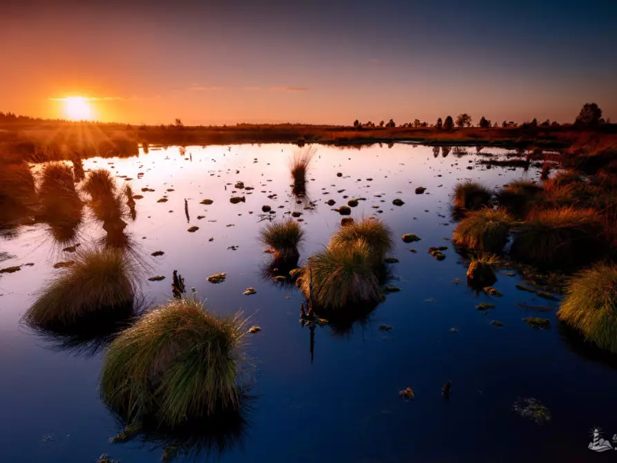 Immagine 8 di Casa indipendente in vendita  in VIA ROTTA MARTINELLA 22 a Argenta