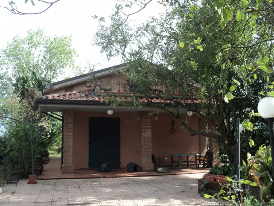 Immagine 10 di Casa indipendente in vendita  in VIA ROTTA MARTINELLA 22 a Argenta