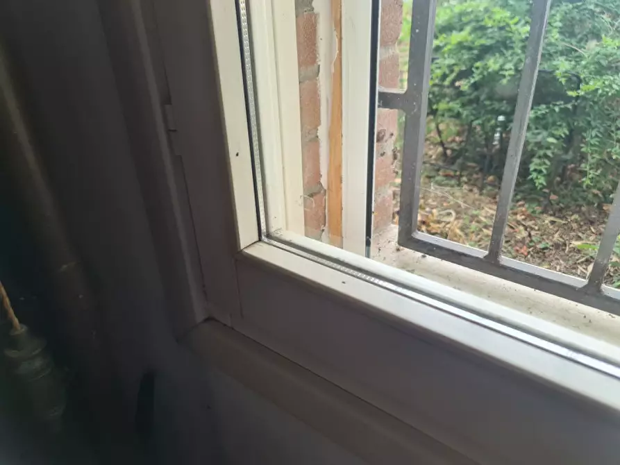 Immagine 18 di Casa indipendente in vendita  in VIA ROTTA MARTINELLA 22 a Argenta