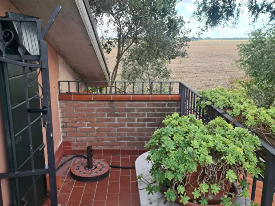 Immagine 31 di Casa indipendente in vendita  in VIA ROTTA MARTINELLA 22 a Argenta