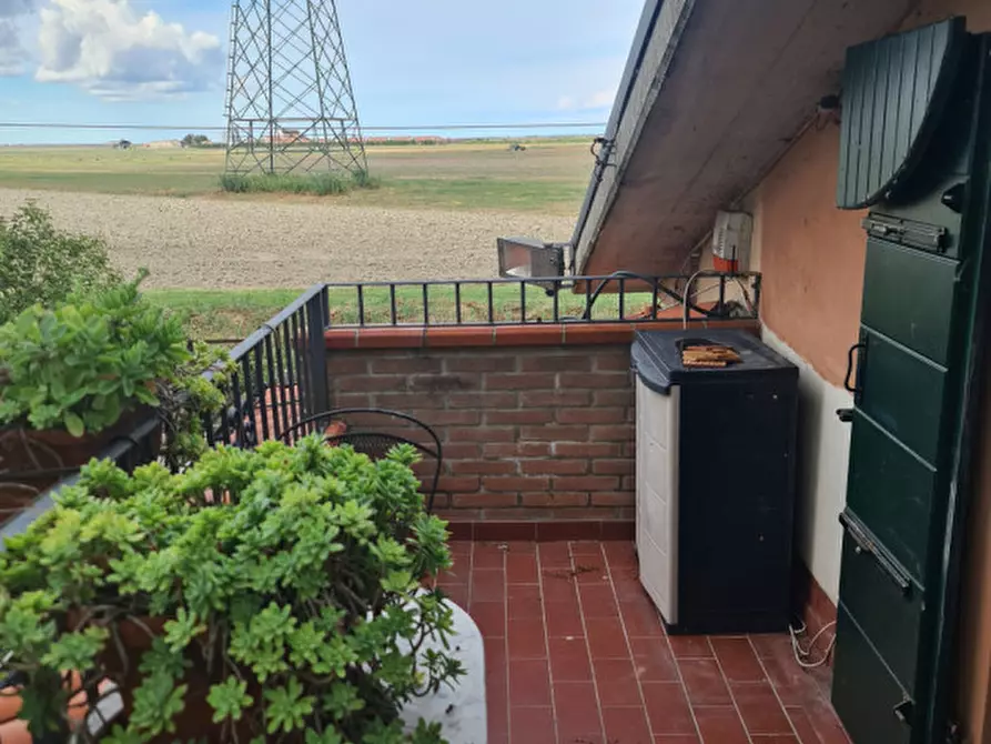 Immagine 32 di Casa indipendente in vendita  in VIA ROTTA MARTINELLA 22 a Argenta