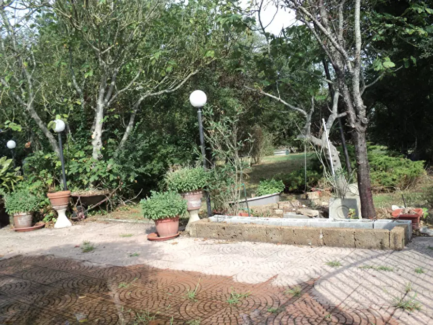 Immagine 33 di Casa indipendente in vendita  in VIA ROTTA MARTINELLA 22 a Argenta