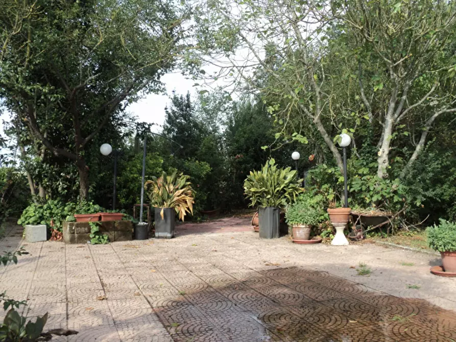 Immagine 34 di Casa indipendente in vendita  in VIA ROTTA MARTINELLA 22 a Argenta