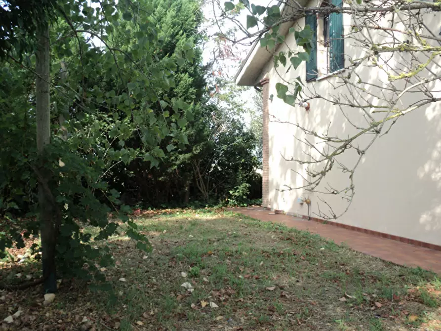 Immagine 35 di Casa indipendente in vendita  in VIA ROTTA MARTINELLA 22 a Argenta
