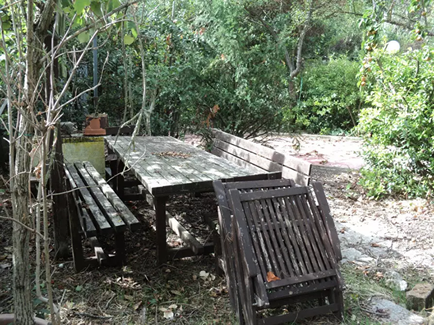 Immagine 36 di Casa indipendente in vendita  in VIA ROTTA MARTINELLA 22 a Argenta