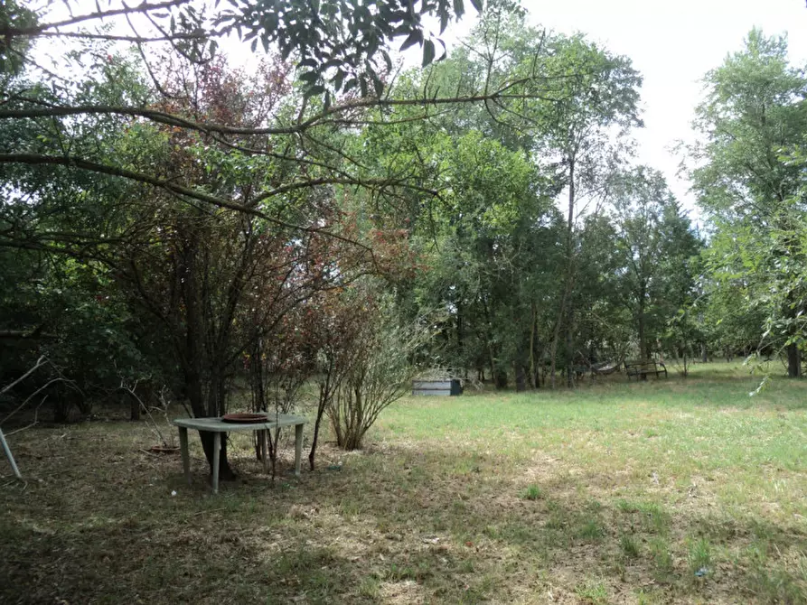 Immagine 38 di Casa indipendente in vendita  in VIA ROTTA MARTINELLA 22 a Argenta