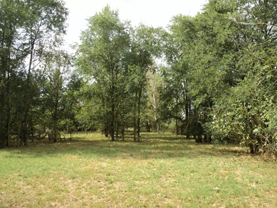 Immagine 39 di Casa indipendente in vendita  in VIA ROTTA MARTINELLA 22 a Argenta