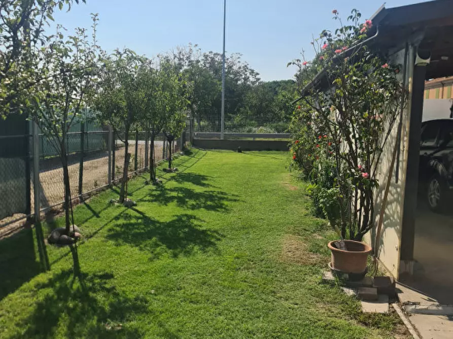 Immagine 6 di Casa indipendente in vendita  in VIA COMUNI 10 a Codigoro