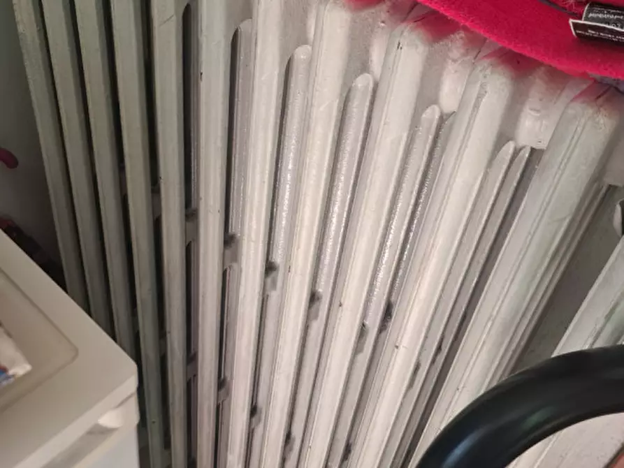 Immagine 27 di Casa indipendente in vendita  in VIA COMUNI 10 a Codigoro