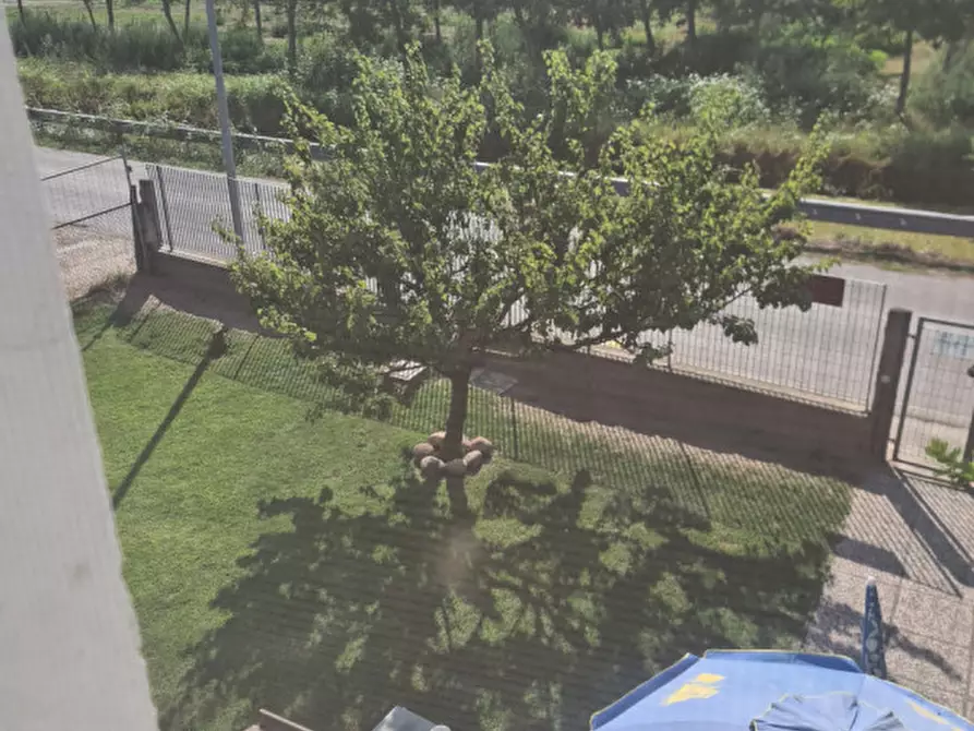 Immagine 31 di Casa indipendente in vendita  in VIA COMUNI 10 a Codigoro