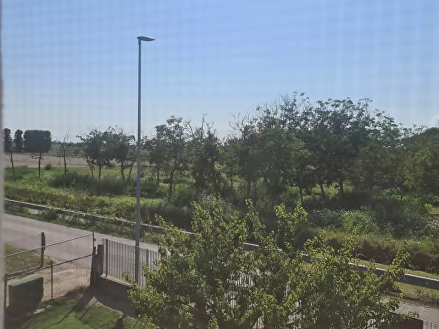 Immagine 33 di Casa indipendente in vendita  in VIA COMUNI 10 a Codigoro