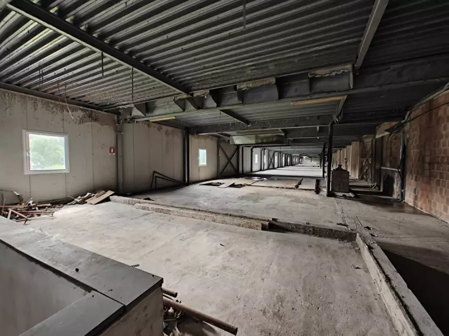 Immagine 7 di Capannone industriale in vendita  in via iv novembre a Gorizia