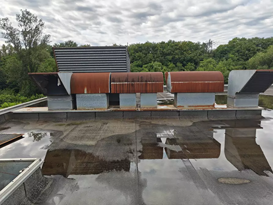 Immagine 9 di Capannone industriale in vendita  in via iv novembre a Gorizia