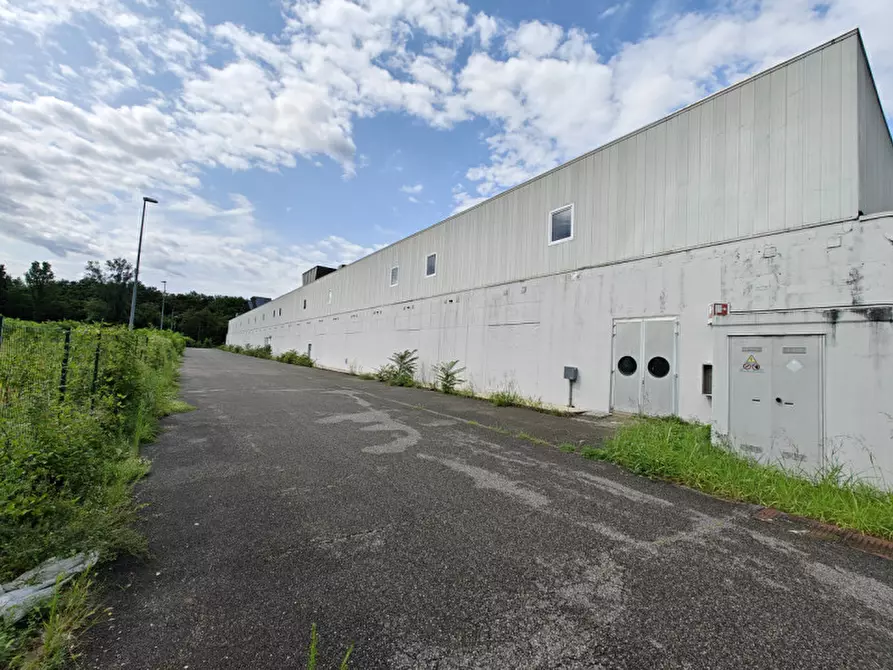 Immagine 17 di Capannone industriale in vendita  in via iv novembre a Gorizia