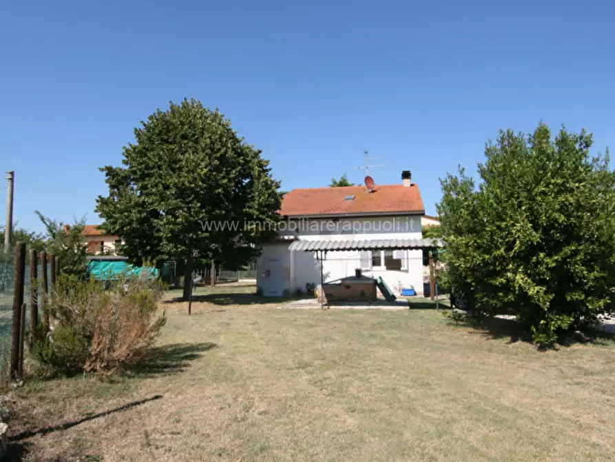 Immagine 2 di Casa indipendente in vendita  a Castiglione Del Lago