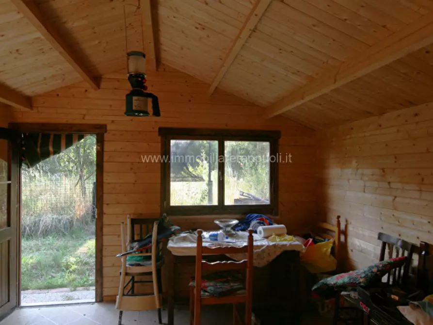 Immagine 2 di Rustico / casale in vendita  a Abbadia San Salvatore