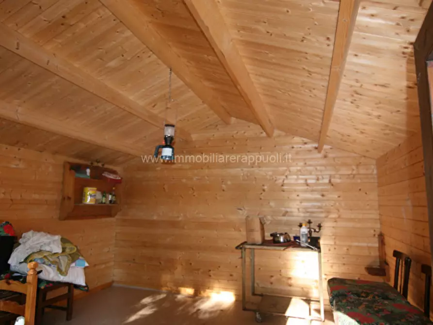 Immagine 3 di Rustico / casale in vendita  a Abbadia San Salvatore