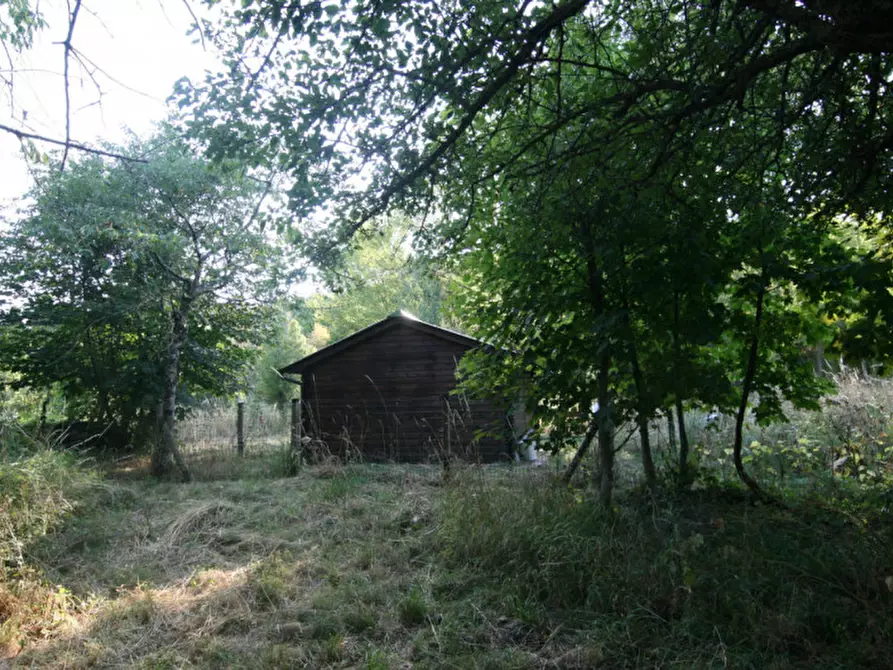 Immagine 3 di Rustico / casale in vendita  a Abbadia San Salvatore