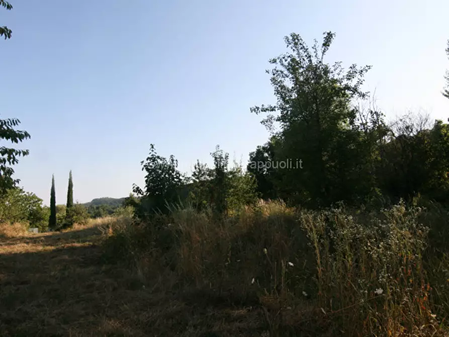 Immagine 8 di Rustico / casale in vendita  a Abbadia San Salvatore