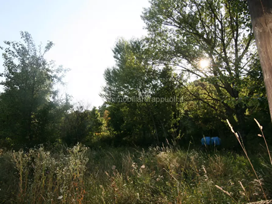 Immagine 9 di Rustico / casale in vendita  a Abbadia San Salvatore