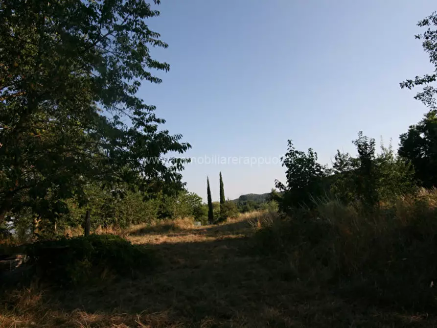 Immagine 10 di Rustico / casale in vendita  a Abbadia San Salvatore